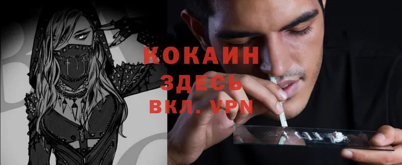 купить   Кулебаки  COCAIN Эквадор 