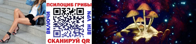 Псилоцибиновые грибы Cubensis  Кулебаки 