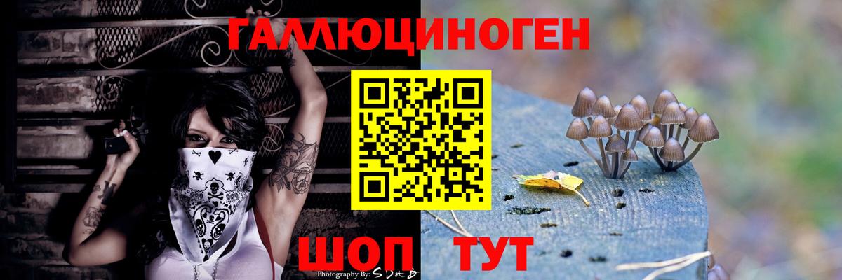 Псилоцибиновые грибы GOLDEN TEACHER Кулебаки